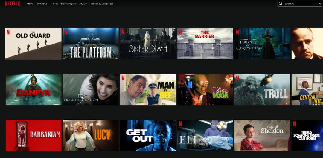 Image montrant l'écran d'une smart TV avec l'application Netflix, utilisant des codes Netflix